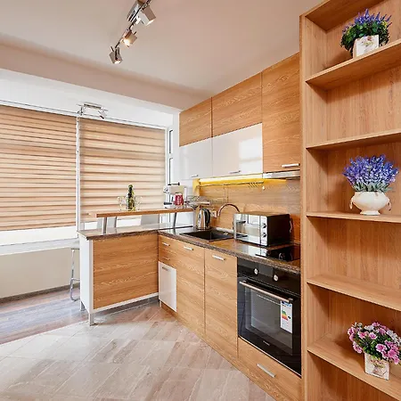 Luxury Saint George Beauty And Style Apartment